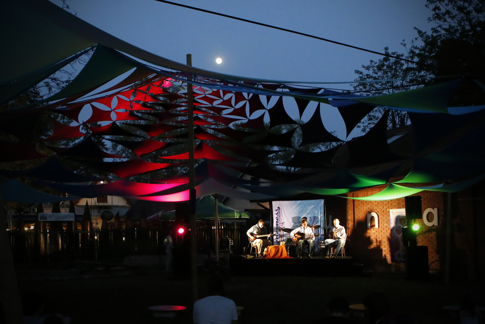 _MG_2021.JPG _MG_2021.JPG