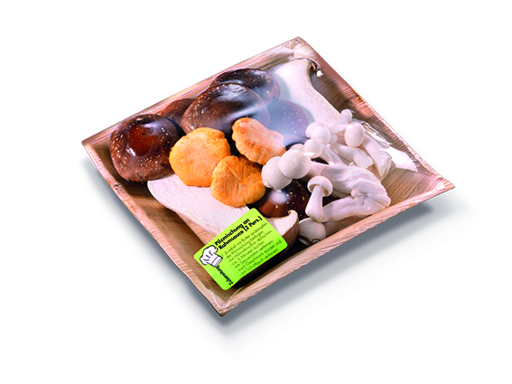 pilze__low.jpg pilze__low.jpg